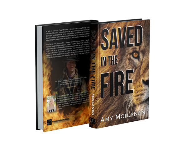 Save in the Fire by Amy Moilanen